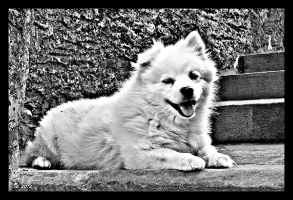 Monte Cane photo 3