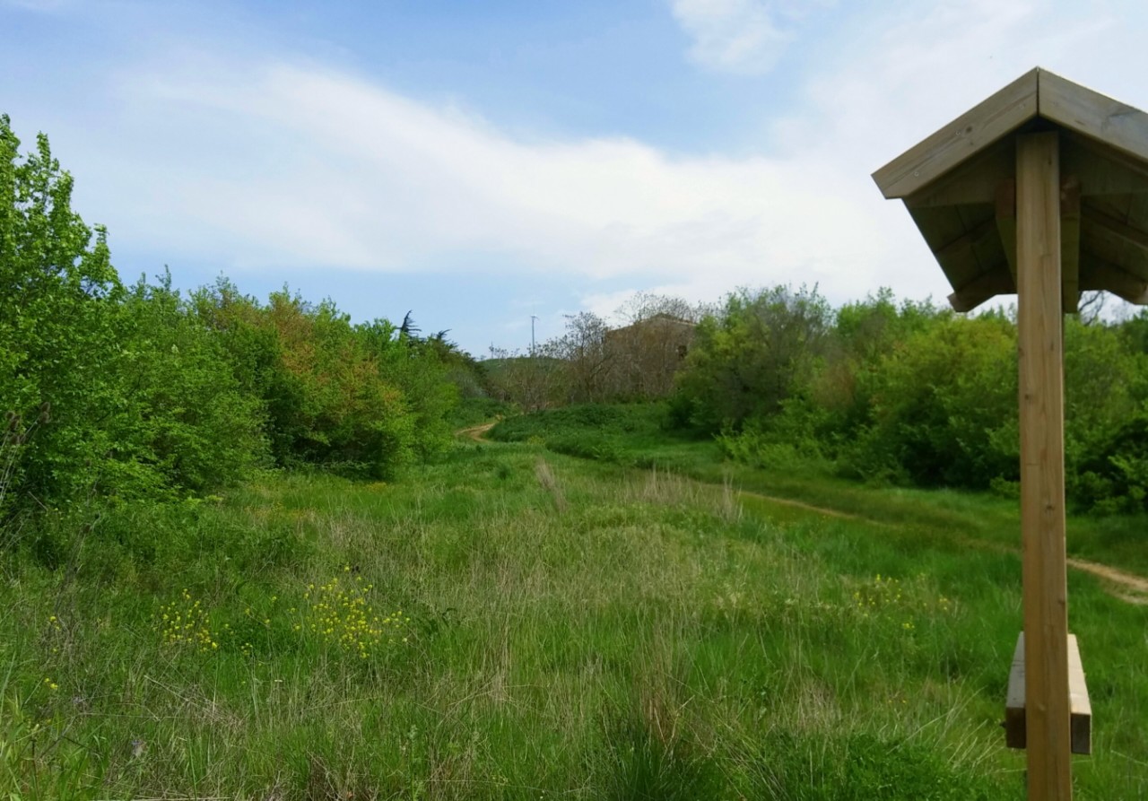 Camporeale photo 3