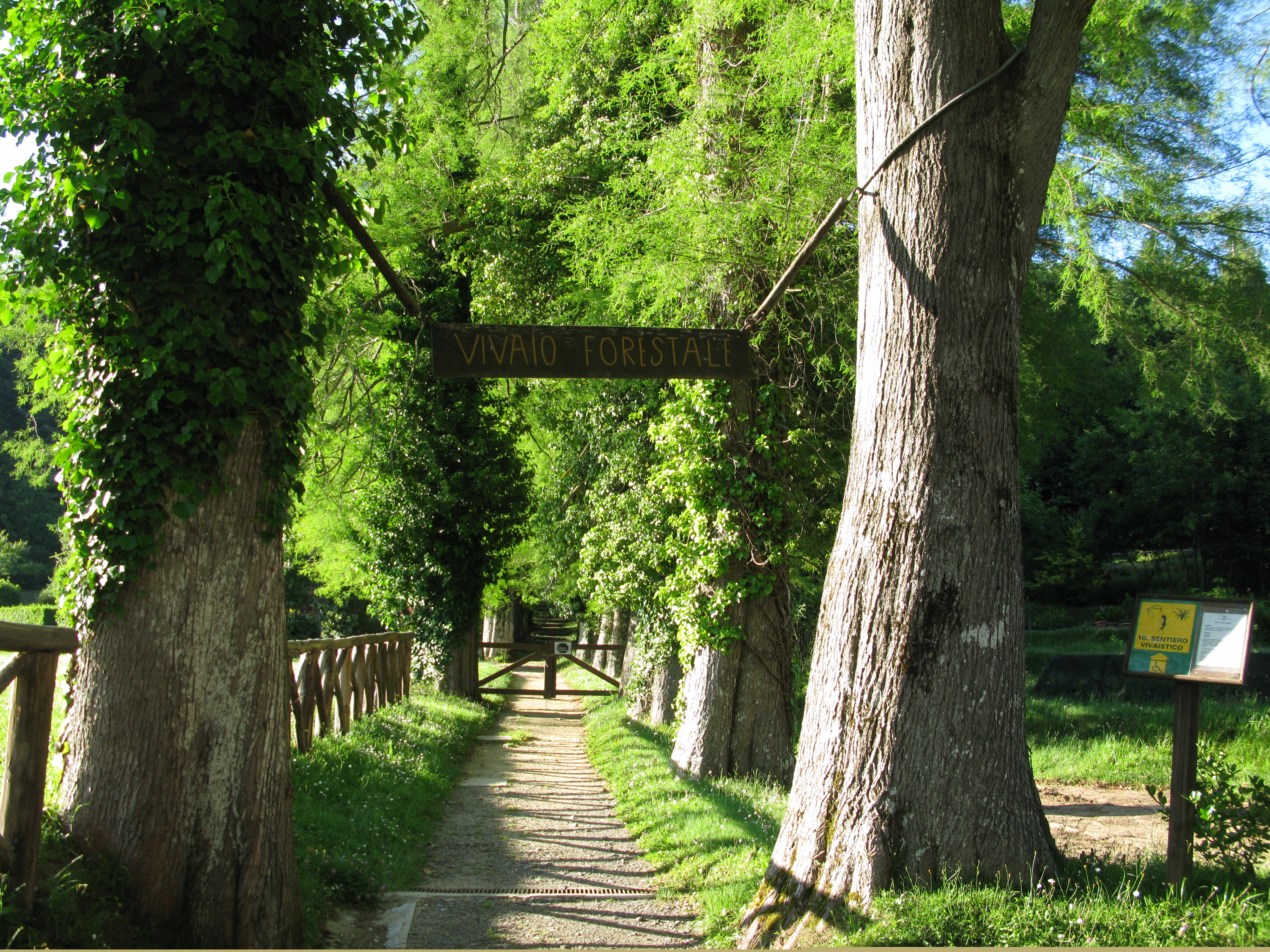 Vibo Valentia photo 3