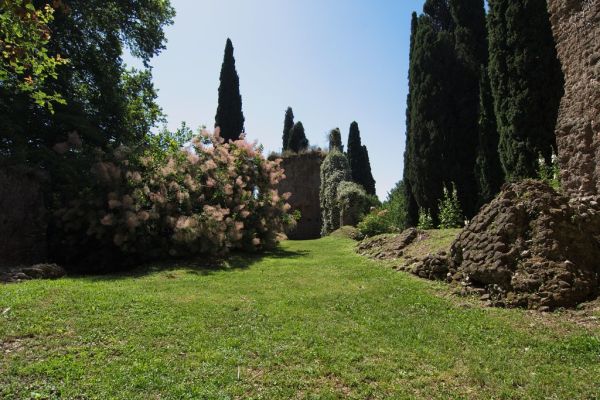 Santa Ninfa photo 2