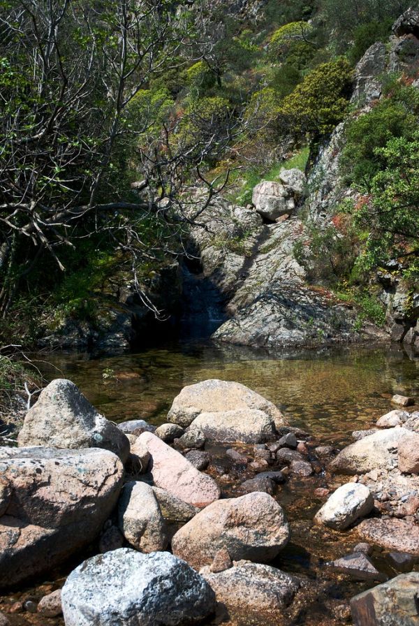Monte Linas photo 2