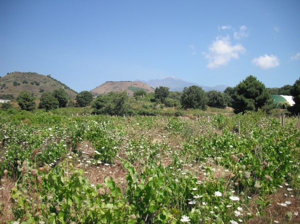 Viagrande, Sicily