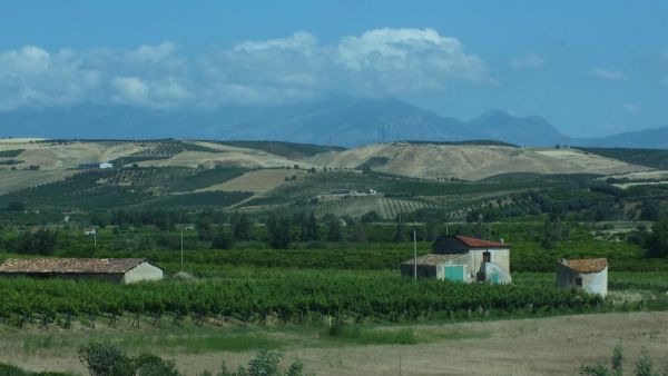 Terranova da Sibari photo 2