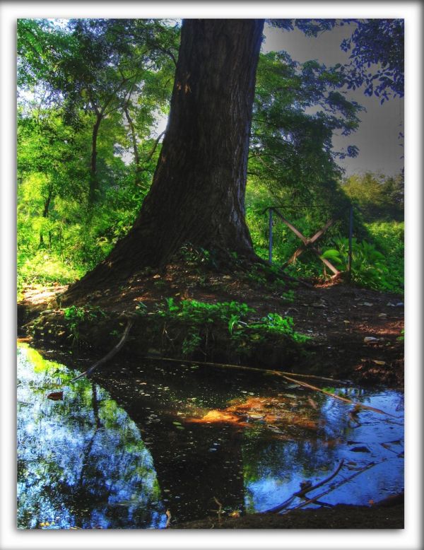 Santa Ninfa photo 4