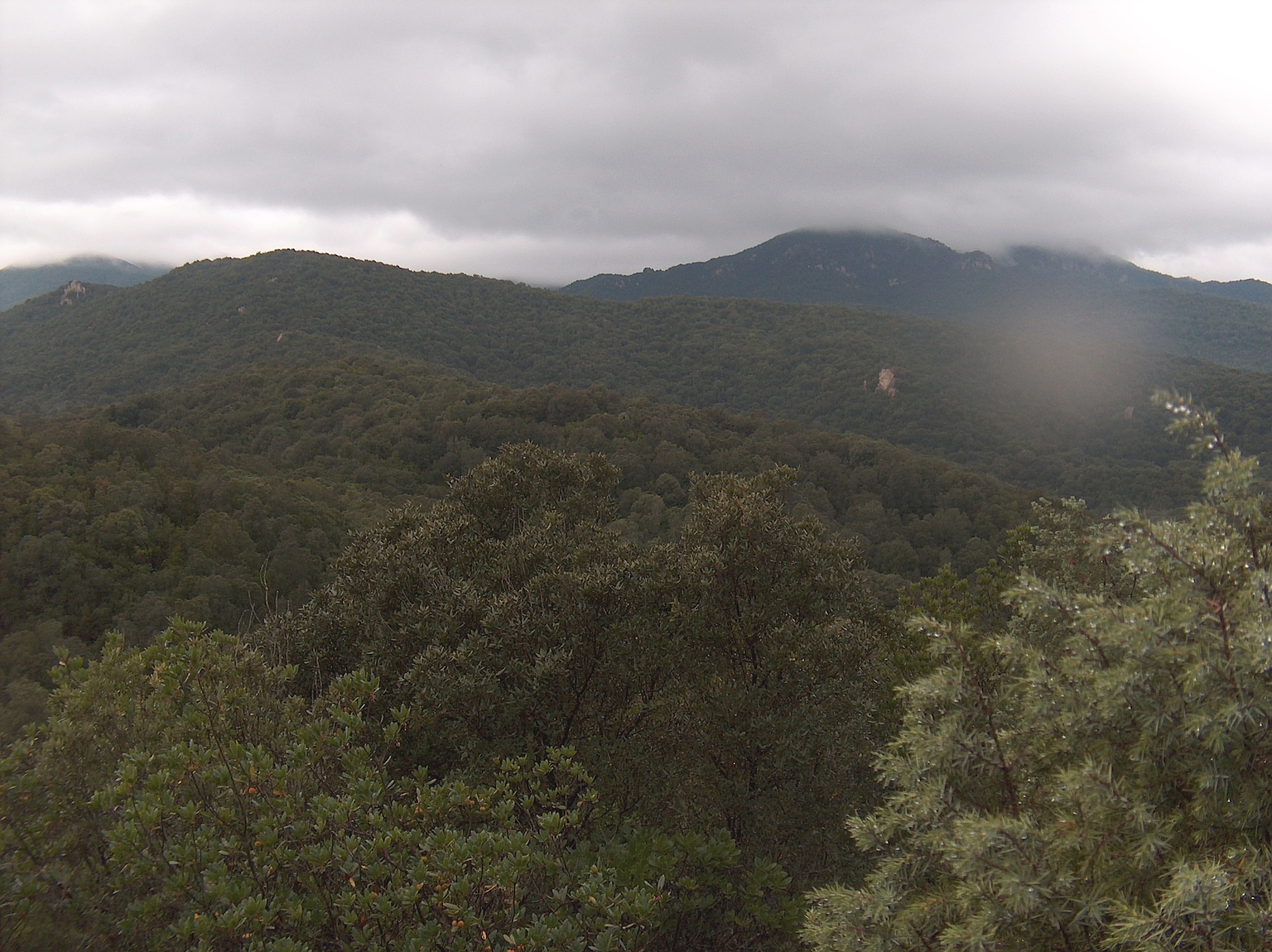 Monte Mannu photo 2