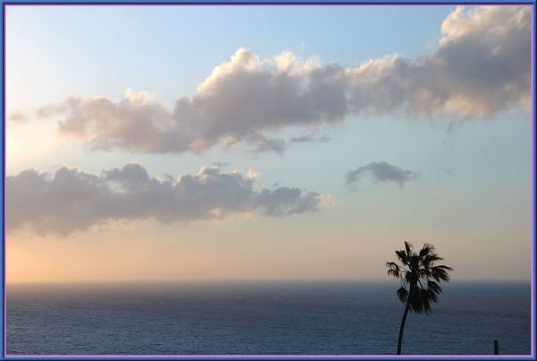 Palmi photo 2