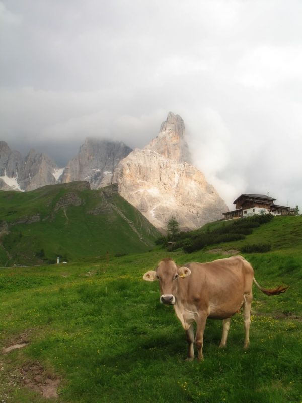 Cima della Vezzana, Veneto