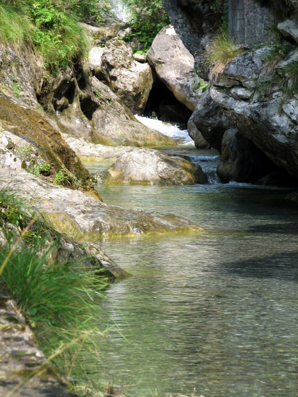Vertova photo 4