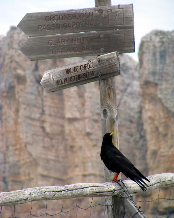 Montagna Grande photo 4