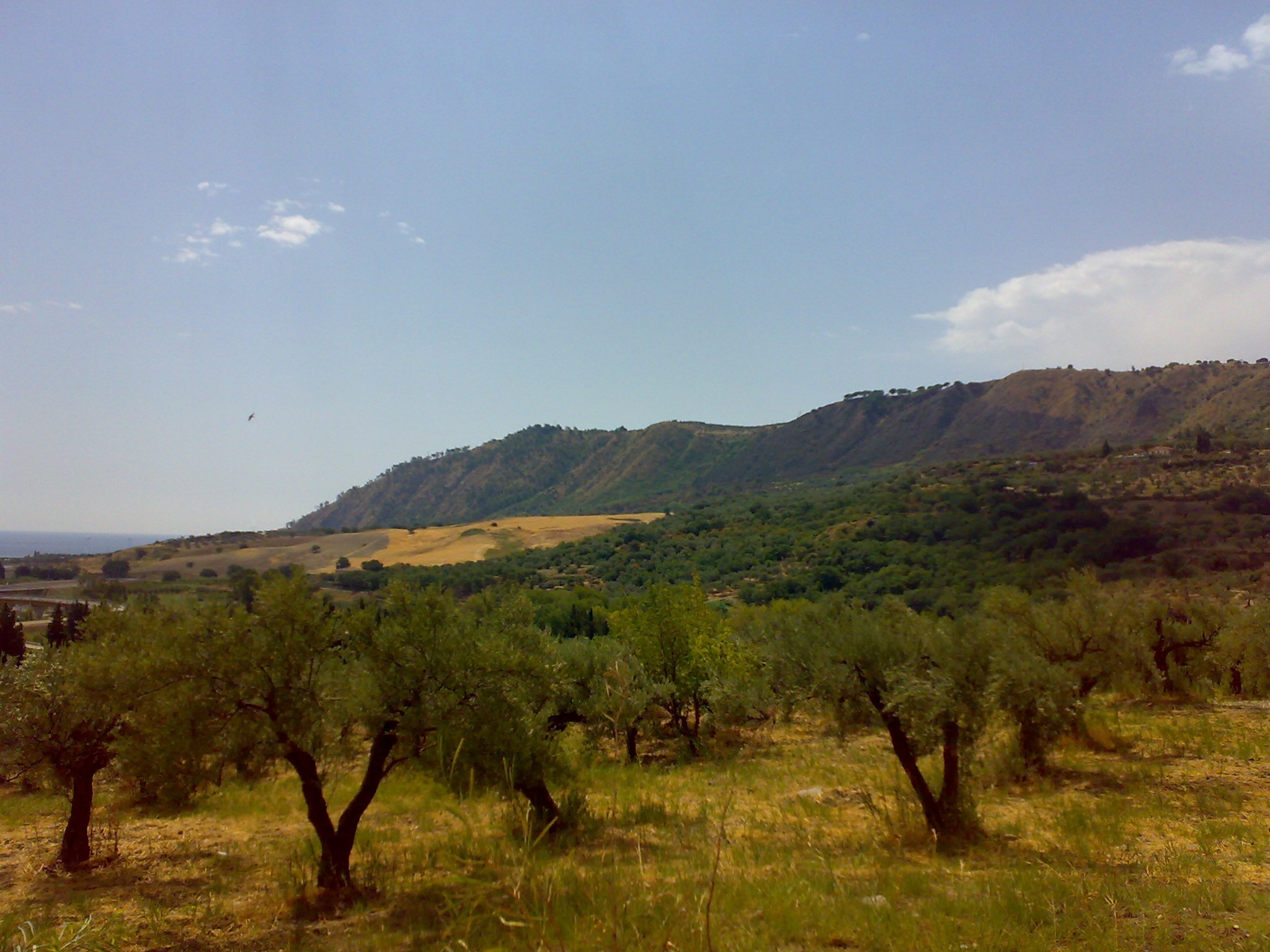 Catanzaro photo 4