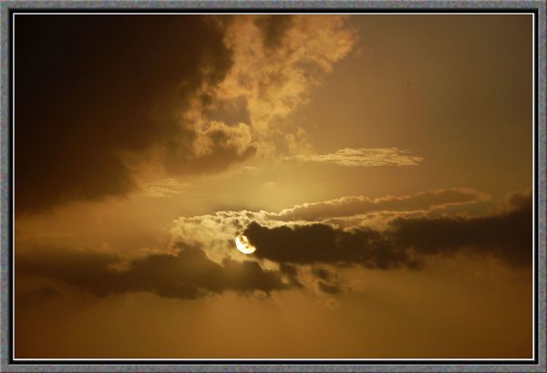 Palmi photo 3