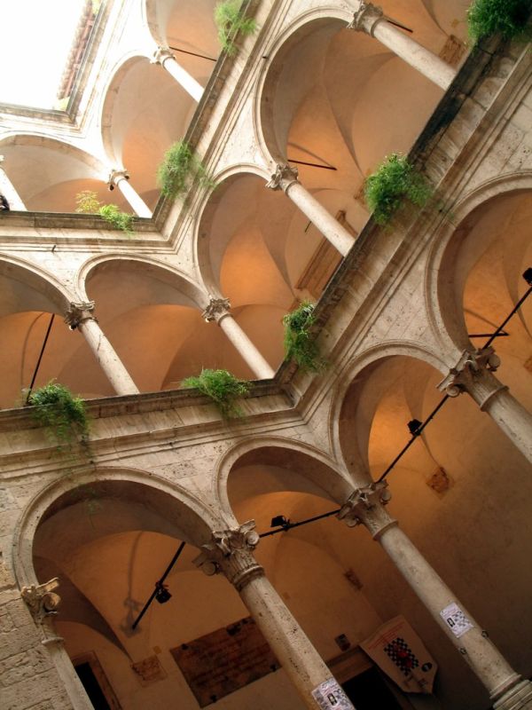 Vicari photo 2