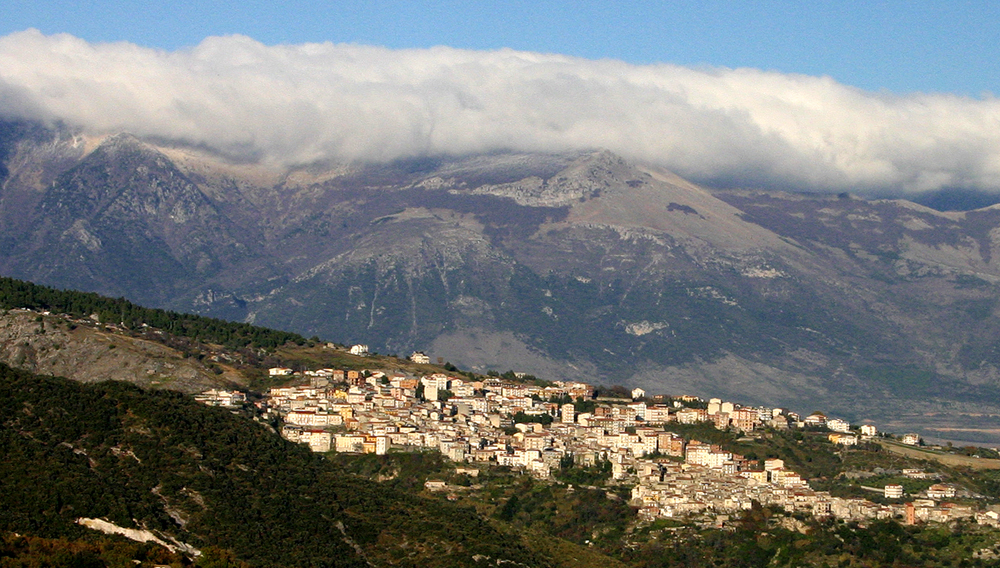 Saracena photo 2