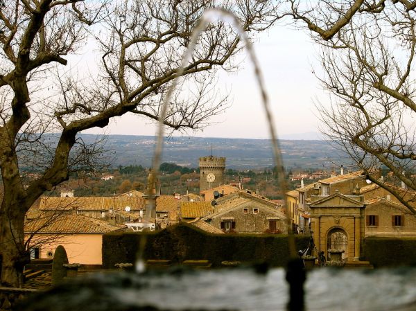 Saracena photo 3