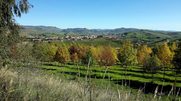 Castellana Sicula photo 2