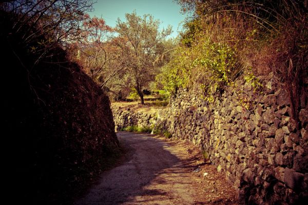 Francavilla di Sicilia photo 4