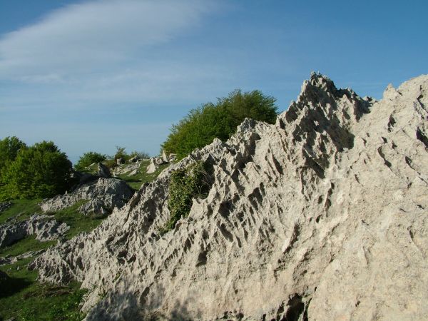 Marano Principato, Calabria