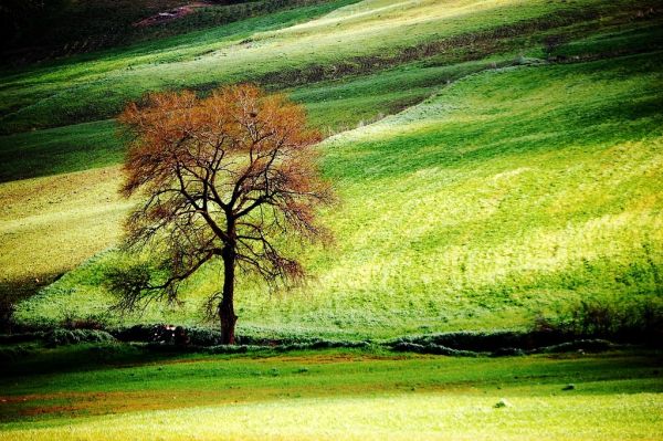 Caltavuturo photo 2