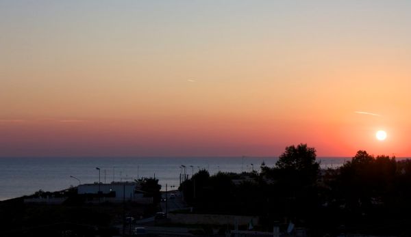 Alliste photo 2