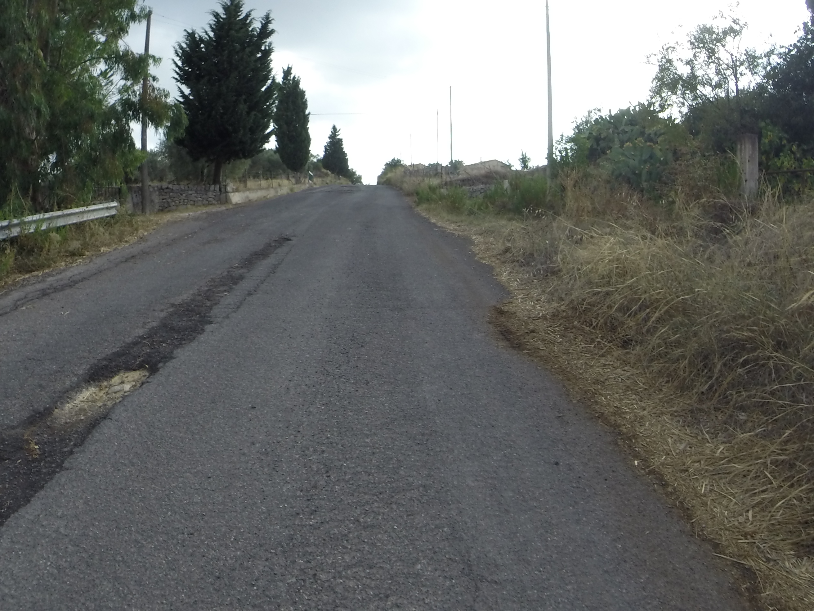 Rosolini photo 3