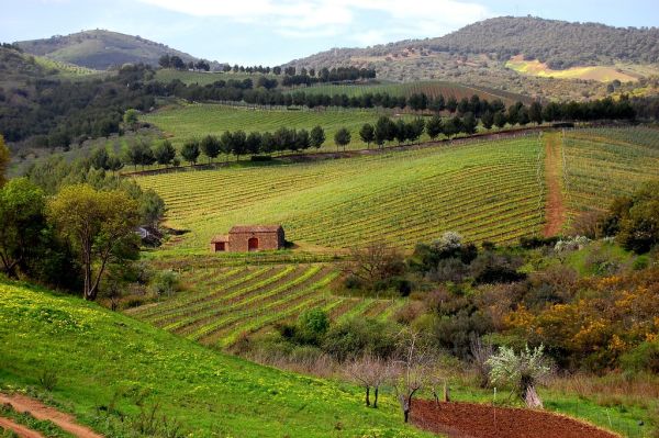 Castelbuono photo 2