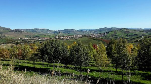 Castellana Sicula photo 3