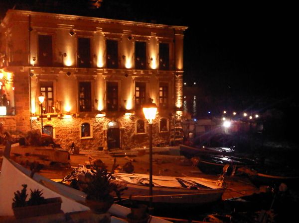 Scilla photo 3