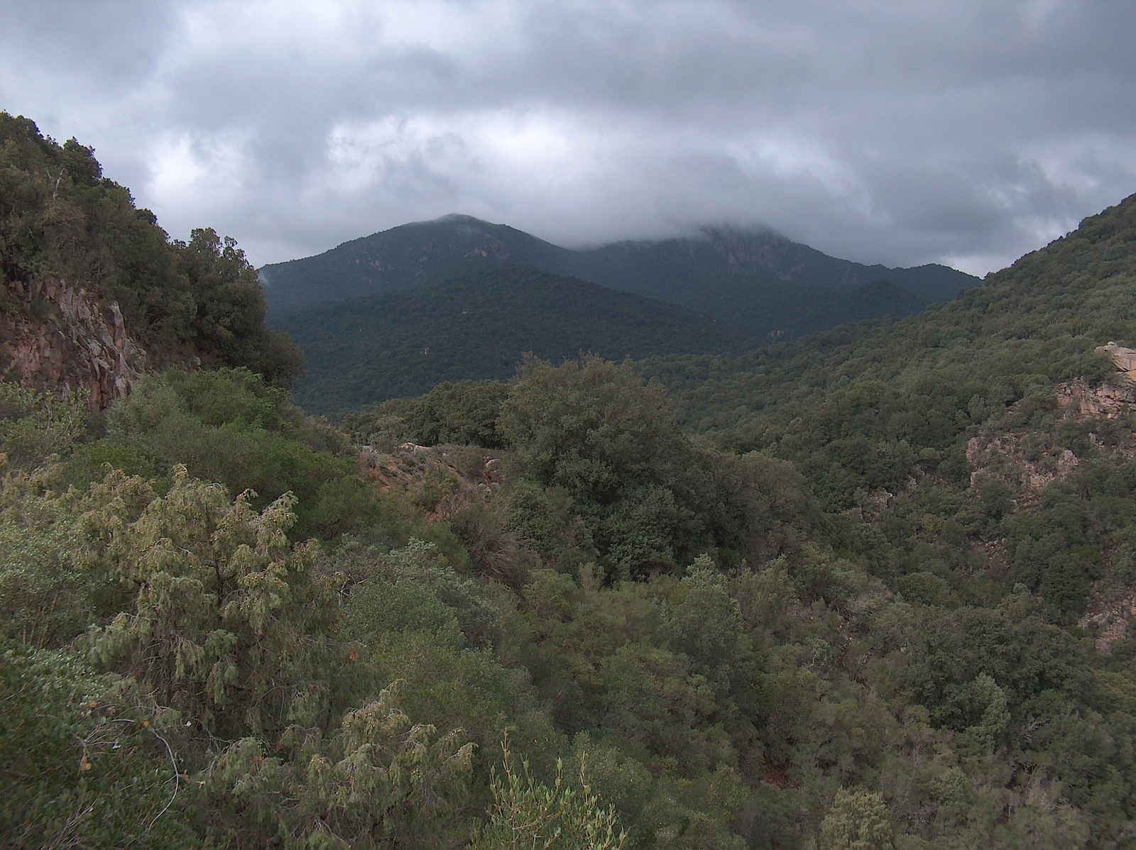 Monte Mannu, Sardinia