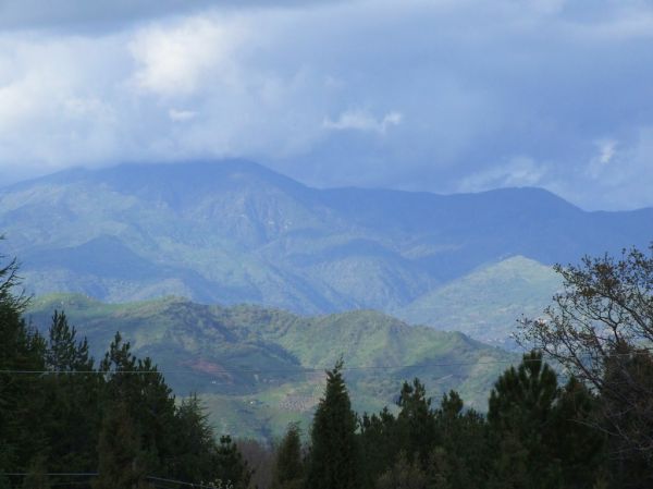 Linguaglossa photo 4
