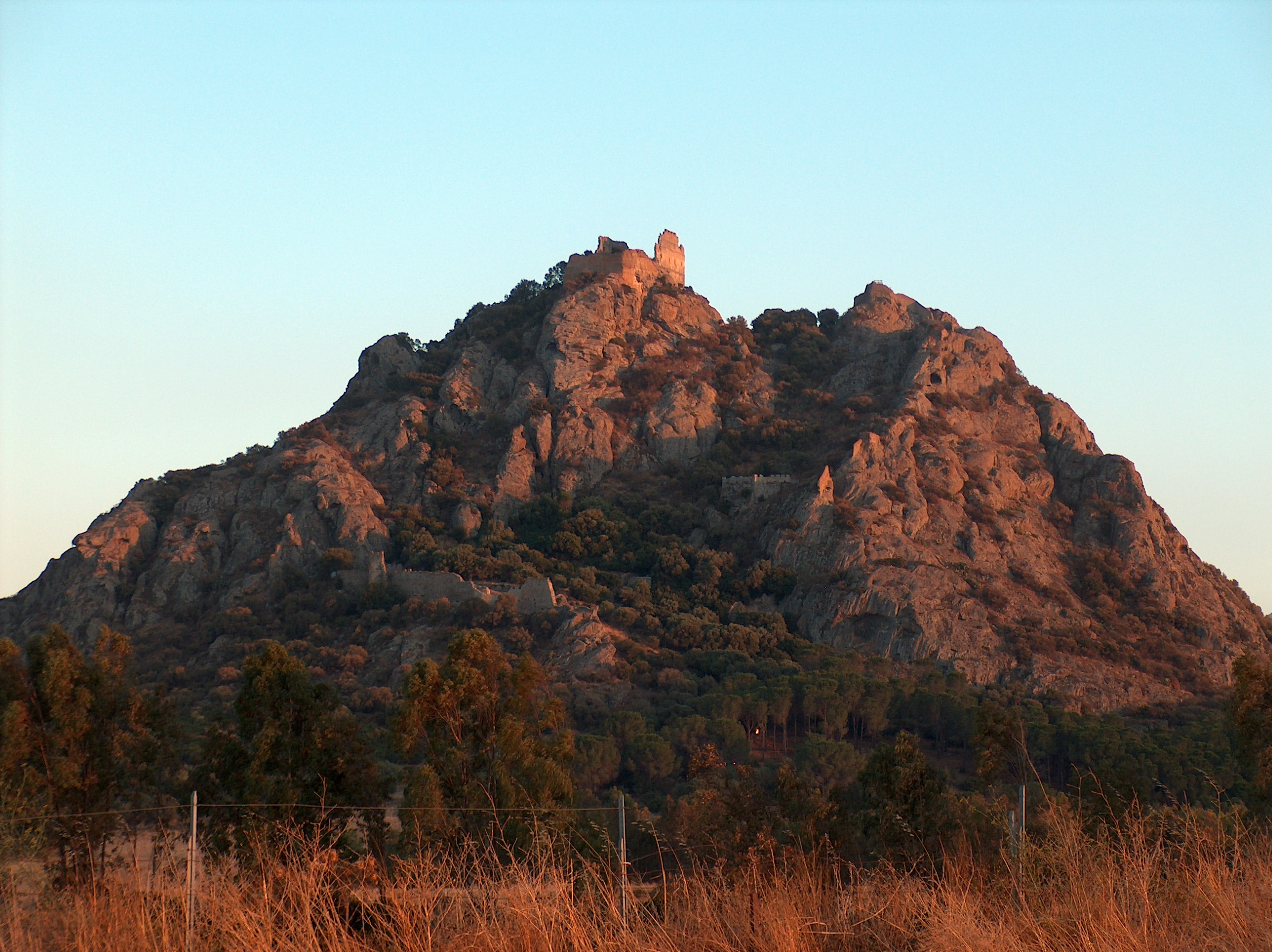 Siliqua photo 3
