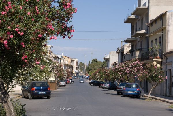 Acate photo 2