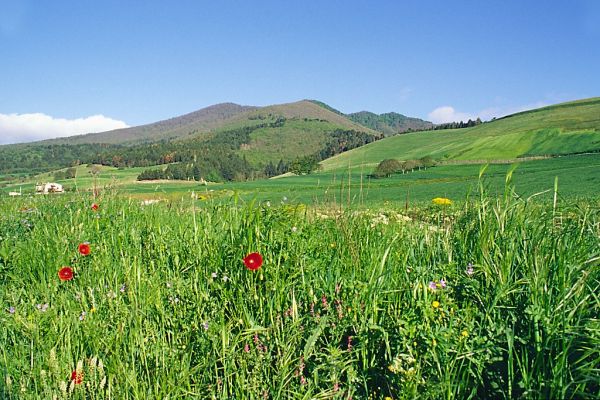 Monte Vulture, Basilicate