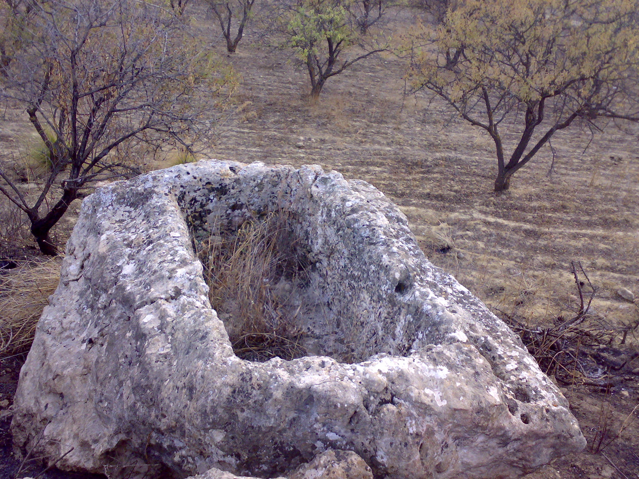 Bivona photo 3