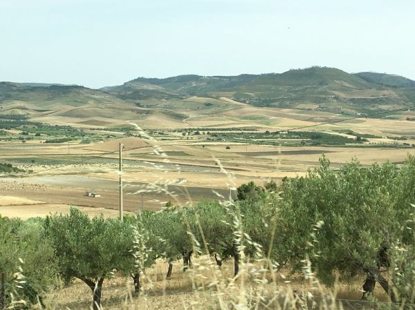 Barrafranca photo 2