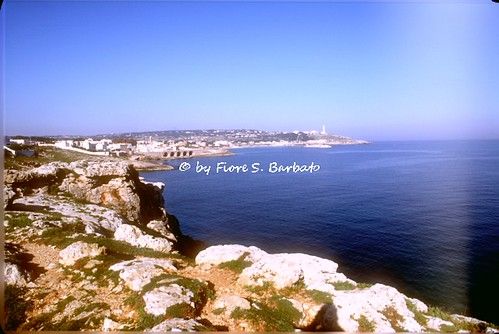 Castrignano del Capo photo 4