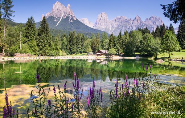 Pala di San Martino, Trentino-Alto Adige