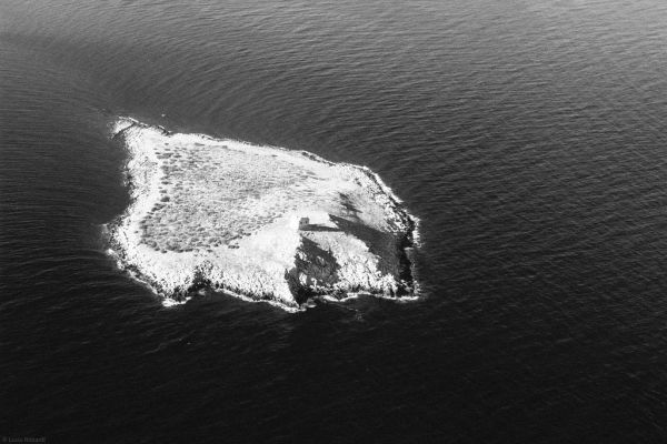 Isola delle Femmine photo 4
