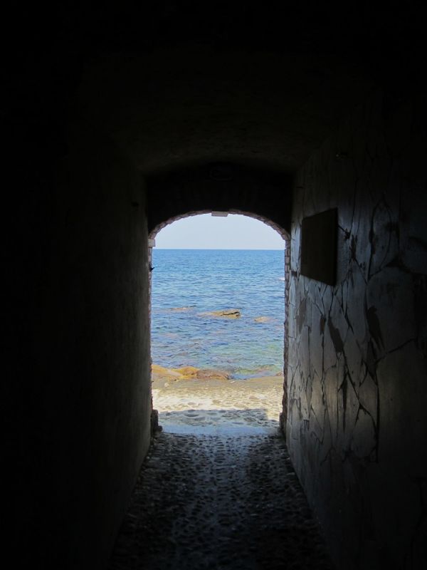 Scilla photo 4