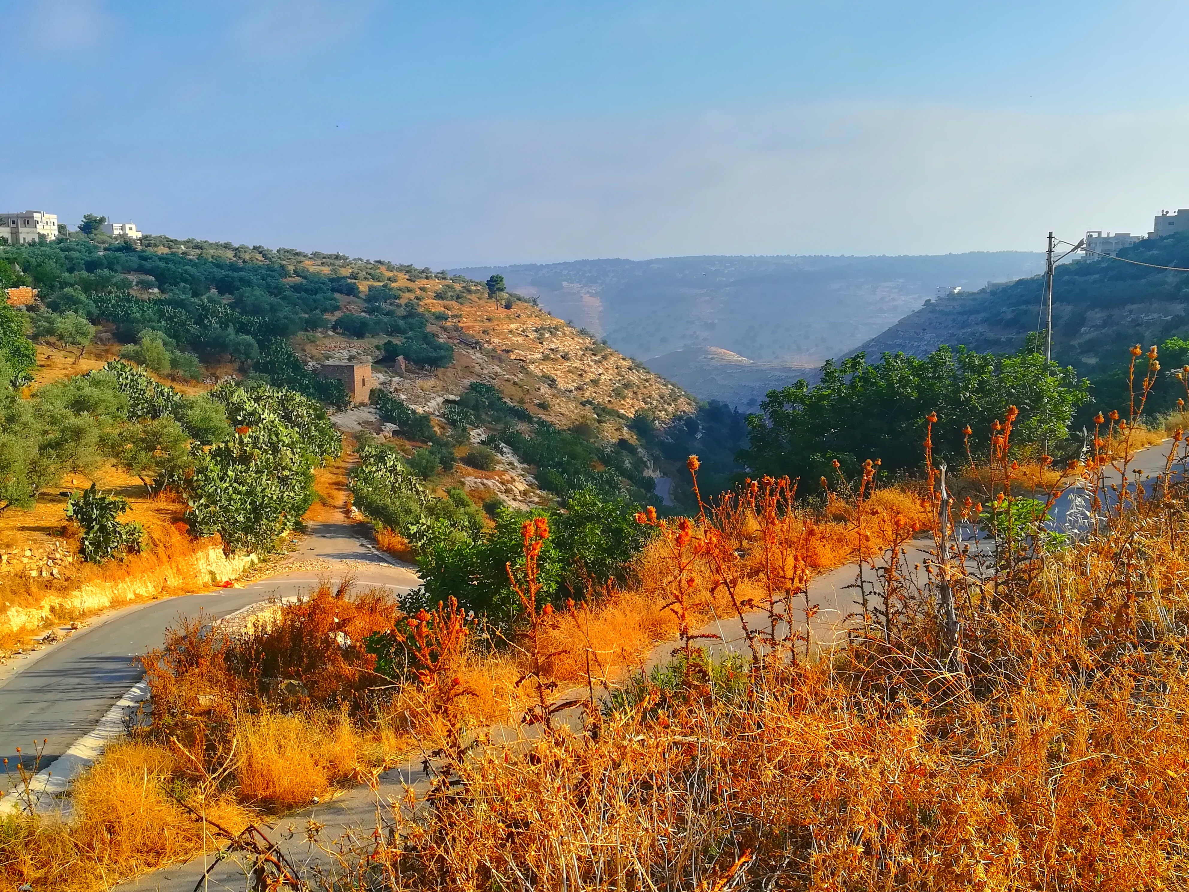 Irbid photo 3