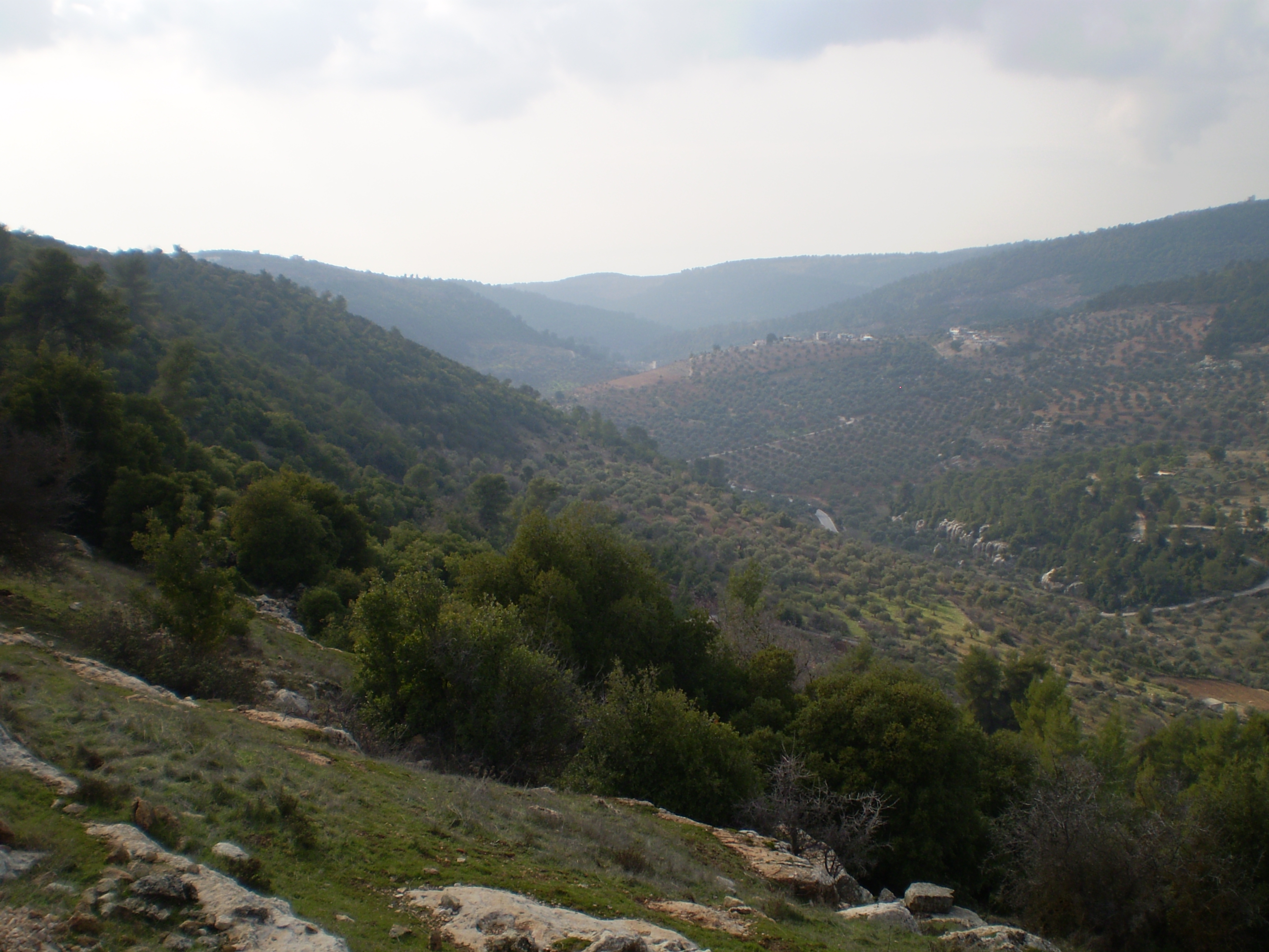 Sakib photo 3