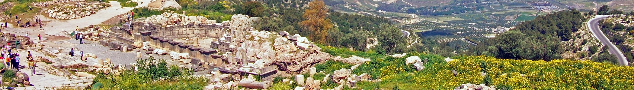 Umm Qays photo 2