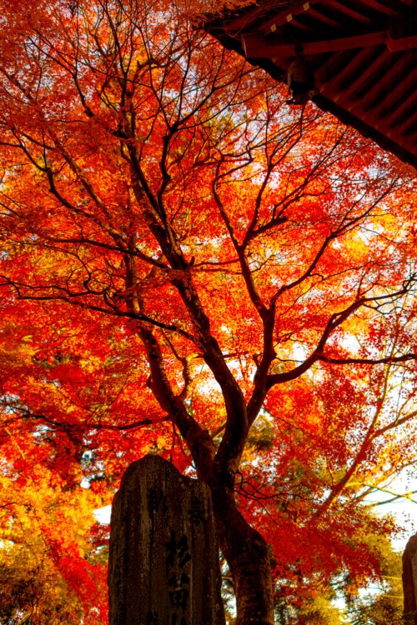 Takao San, Shimane