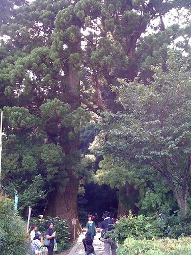 Shingū photo 2