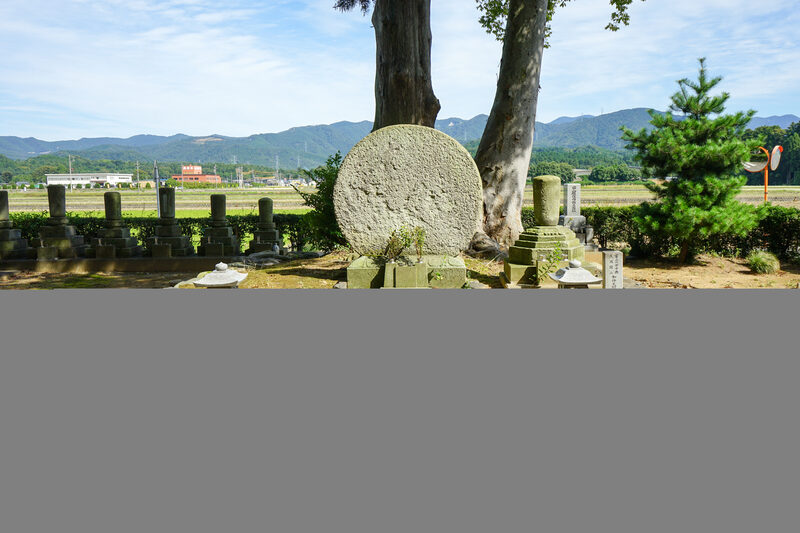 Fukui-shi, Fukui