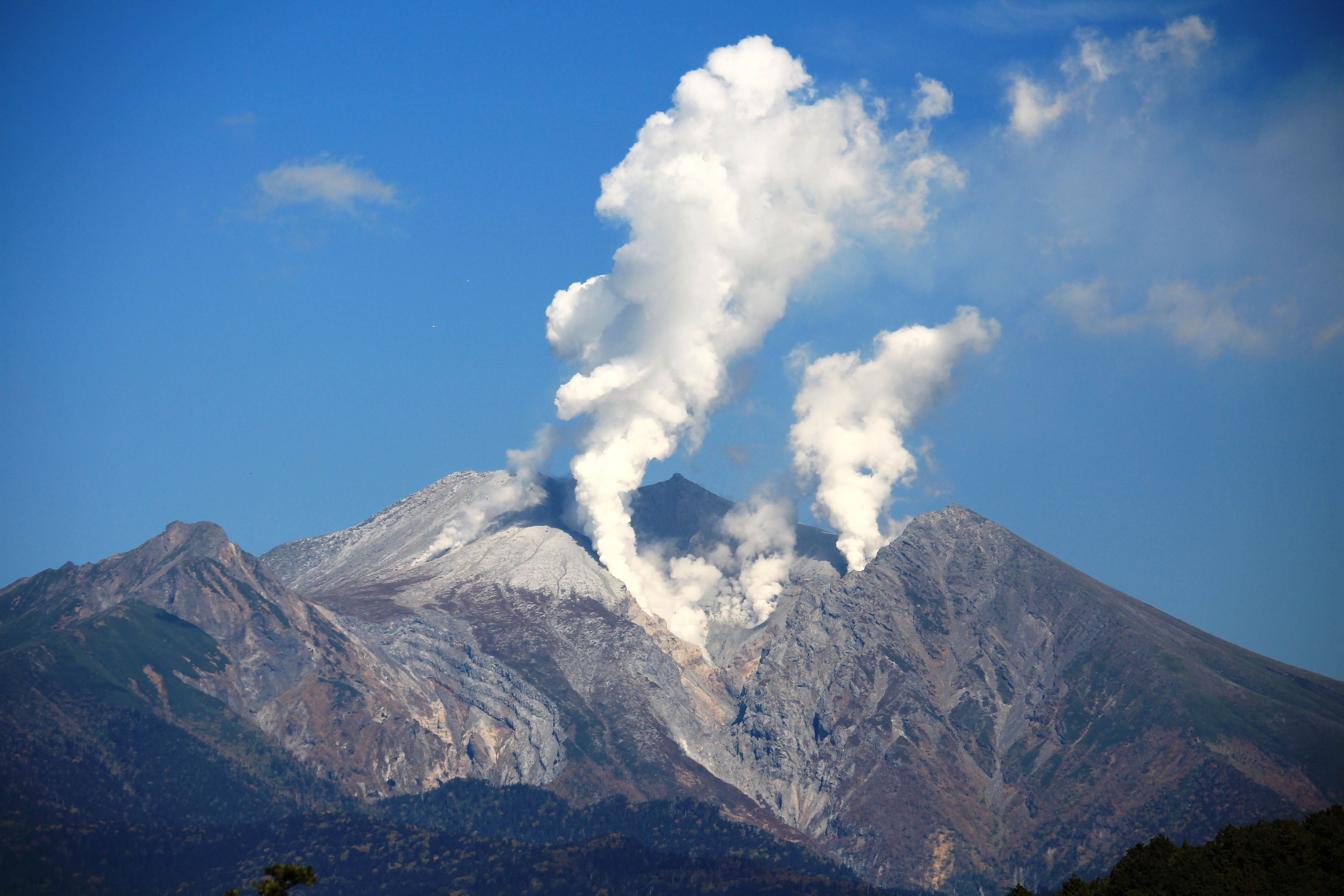 Gero photo 3