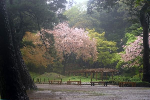 Ame Yama, Wakayama