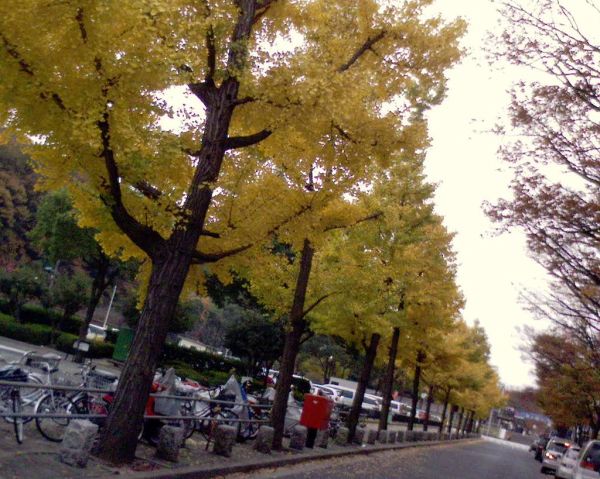 Nagoya, Aichi