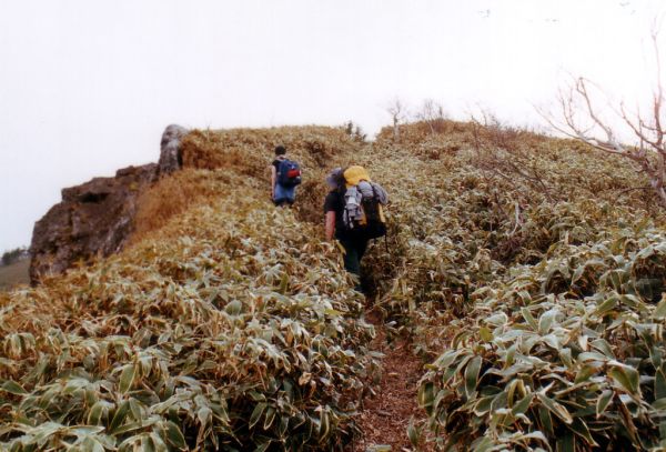 Tsurugi San, Tokushima