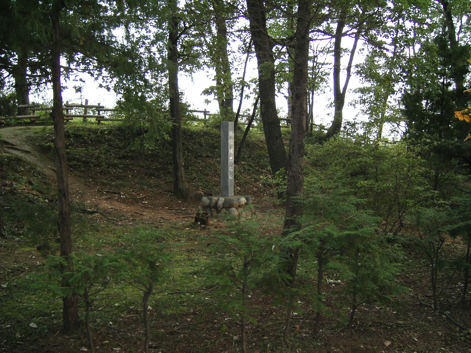 Yorii photo 3