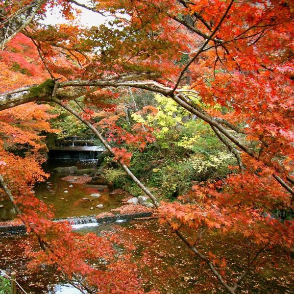 Seto, Aichi